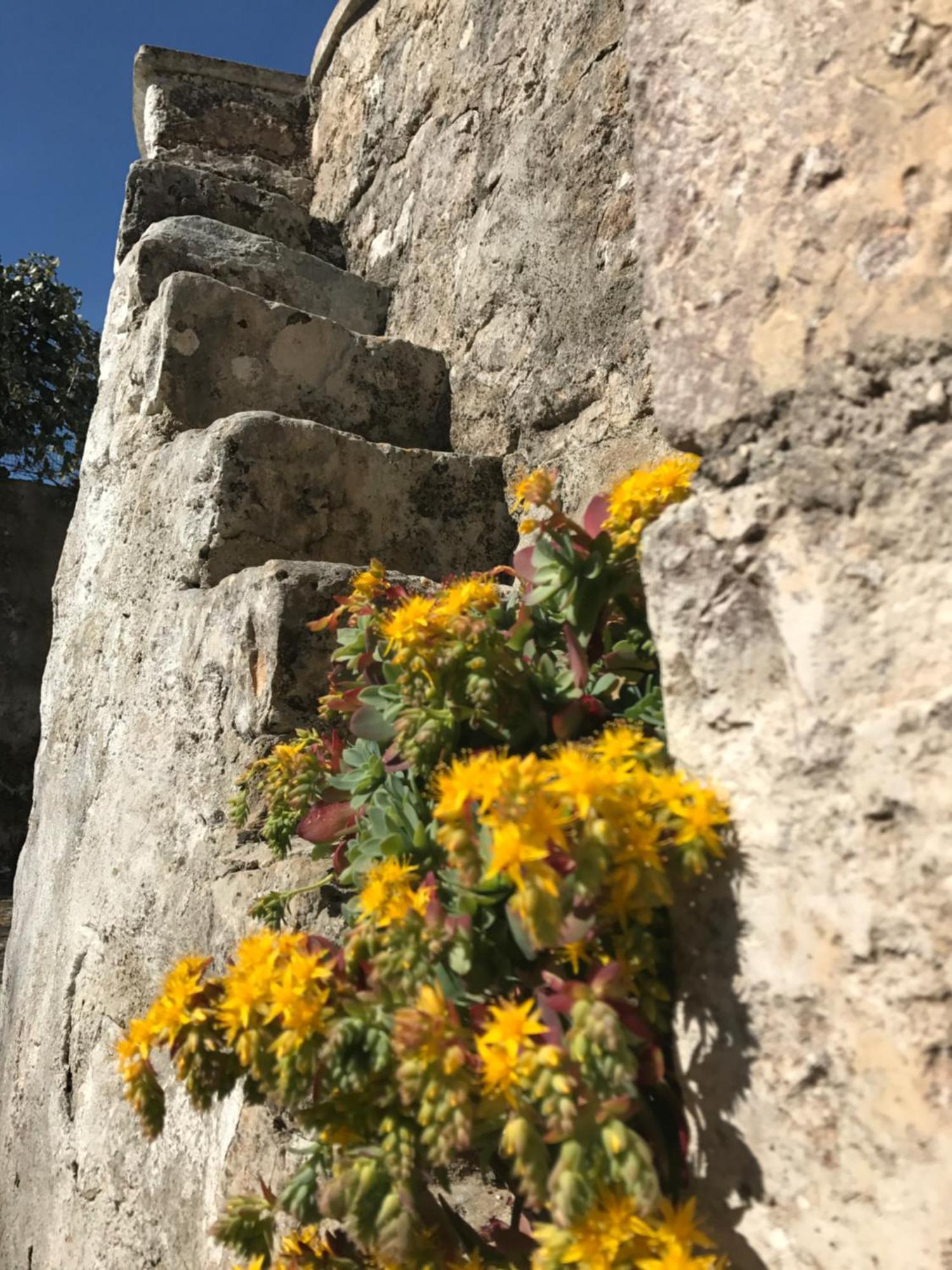 Agritrulli Guest House Ostuni Bagian luar foto